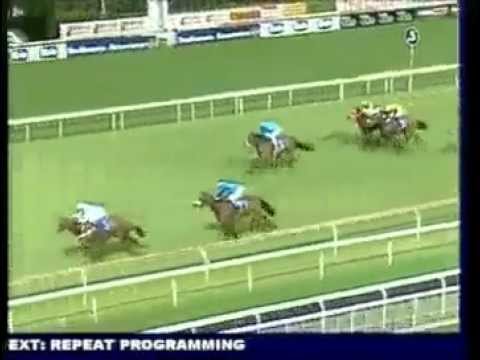 2013-01-01 Turffontein - race 3