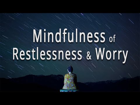Mindfulness of Restlessness & Worry (#18 The Four Establishments of Mindfulness) by Joseph Goldstein