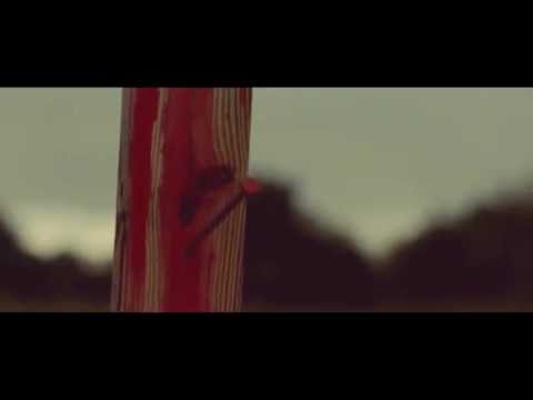 " Autor De Vida " El Novato - VIDEO OFICIAL