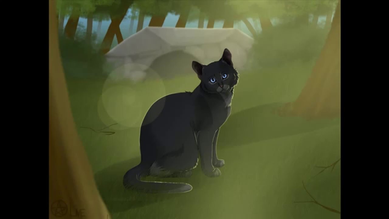 *OLD* Warriors Cats  speedpaint –  Cinderpelt
