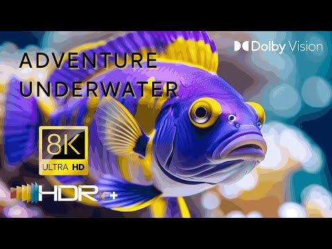 Underwater Paradise 8K ULTRA HD – Breathtaking Sea Animals & Peaceful Background Music