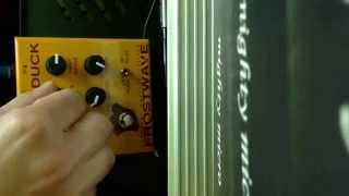 Video thumbnail for frostwave funk a duck envelope filter electric bass by Monteforte Valerio