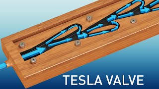 Tesla Valve -The complete physics