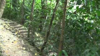 preview picture of video 'Walk, Tropical Spice Garden, P4, Teluk Bahang, PHv2, P92'