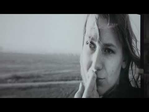 Le Cinquième Plan de « La Jetée »