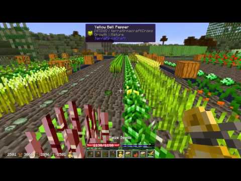 Terrafirmacraft Reloaded - E78 - The End (Minecraft)