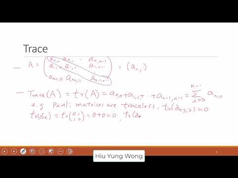 L12 Matrix Trace and Hadamard Gate
