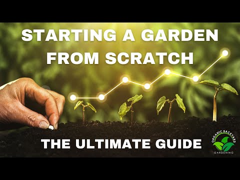 Sowing the Future: A Beginner's Guide to Starting a Garden