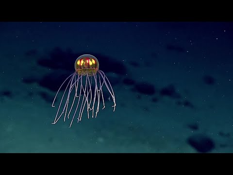 Me 'zo ganet e-kreiz ar mor