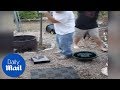 Parents Destroying Their Children S Phones And Consoles Daily Mail