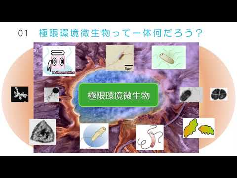 極限環境微生物をひとつひとつわかりやすく。：東洋大学生命科学部生命科学科模擬講義