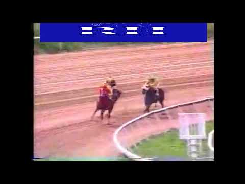 Este dia lo INVISIBLE era la velocidad que imponia en la  Copa Catire Bello del año 2003.