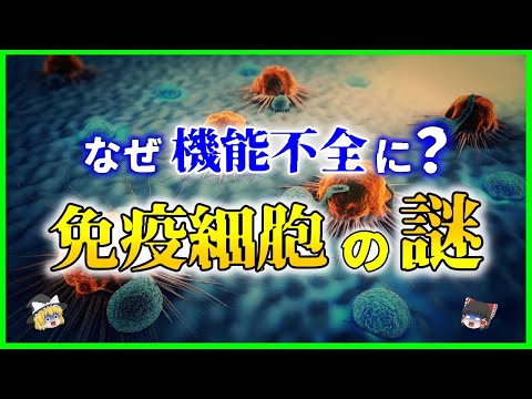 強力な免疫システムのための秘密兵器: ずっとここに隠されていました
