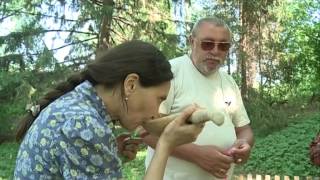 12 03 2015 Большое путешествие Можга