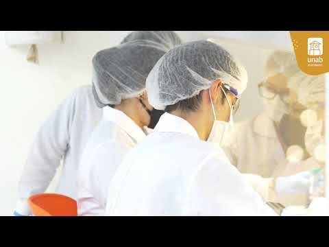 Ingeniería Biomédica Universidad UNAB