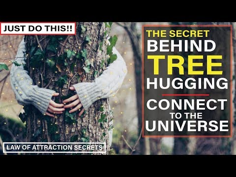 Why TREE HUGGING is Good For You | Connect to The Universe Like This! [Law of Attraction]