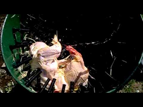 26. децембар 2015.