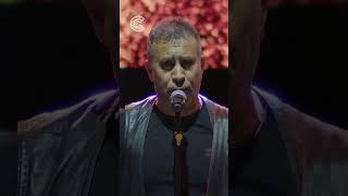 Download lagu Haluk Levent - Elfida (Live) #HalukLevent #Canlı #Konser mp3