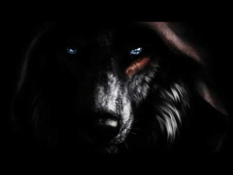 Bommer, Crowell, Drpyz, Grizzstep & Hendrix - WTF