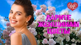 ДАРИТЕ ЖЕНЩИНАМ ЦВЕТЫ ♥ ПЕСНИ ХОРОШЕГО НАСТРОЕНИЯ ♥ КРАСИВЫЕ ЭСТРАДНЫЕ ПЕСНИ WLV ♥ RUSSISCHE MUSIK