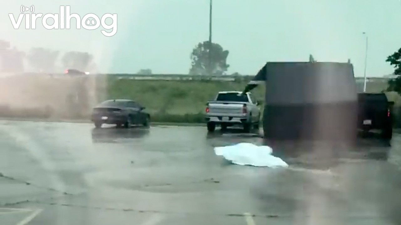 Pretty Sure This Shed Wanted My Parking Spot || ViralHog