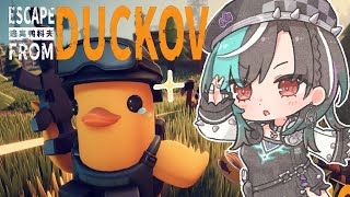 輪堂千速 - 【Escape From Duckov】アヒルの世界で生き延びる・・！？【#輪堂千速 / #hololivedev_is  #FLOWGLOW 】