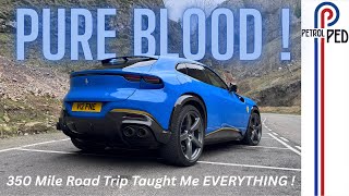 Ferrari Purosangue - Ultimate Performance SUV...or is it ?!