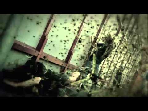 Machine Head // Locust (OFFICIAL VIDEO)