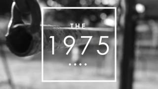 An Encounter - The 1975 (Vlog)