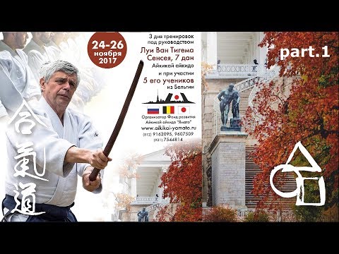 Louis Van Thieghem 24 11 2017