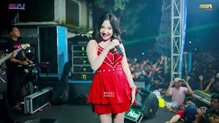 Download lagu LALUNA MUSIC - SPONTAN DIN ANNESIA - WEDDING PARTY ALIEF & CHINTYA - GUYANGAN - JEPARA mp3