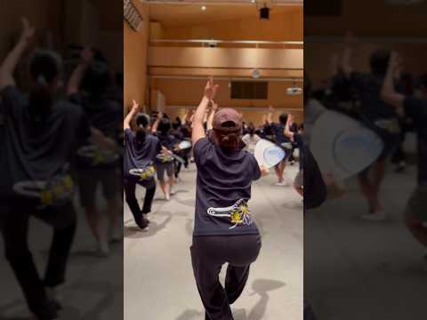 誰が勝利への道を踊りますか? 「レッツダンス」ファイナリスト大チェック
