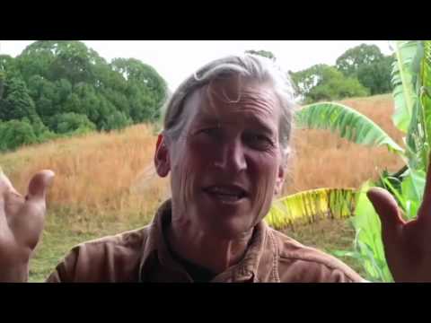 Suburbia's Green Shift: Permaculture Transformation