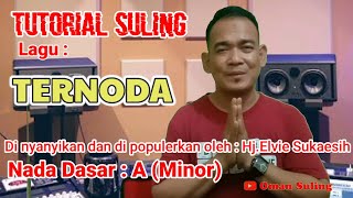 Download lagu Ternoda (Tutorial Suling) mp3