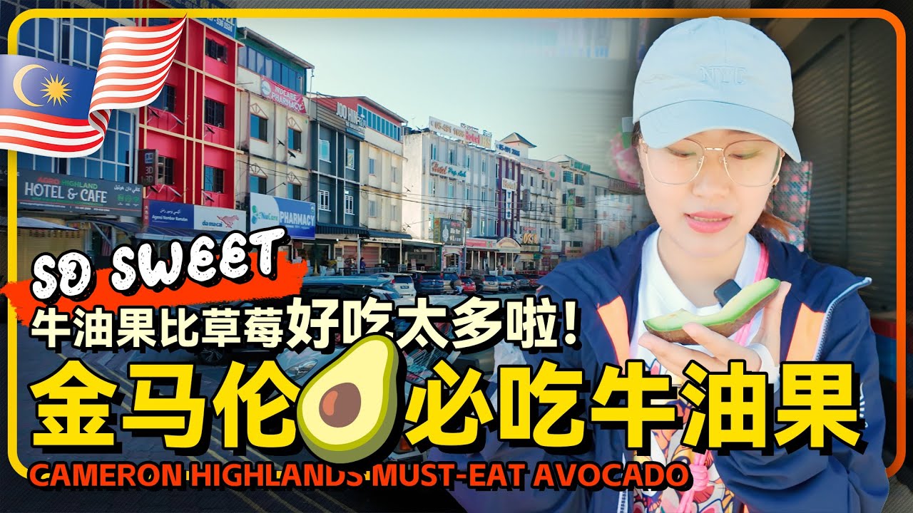 马来西亚🇲🇾高原金马仑CityWalk 碧兰章 3马币加满摩托车🛵 牛油果比草莓好吃