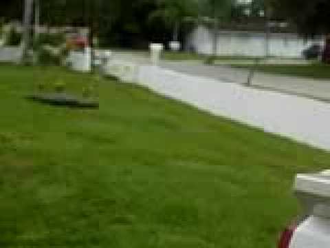 PITT & STAR STARTING DAY OF FRESH (WAITING FOR DYNAMIC)