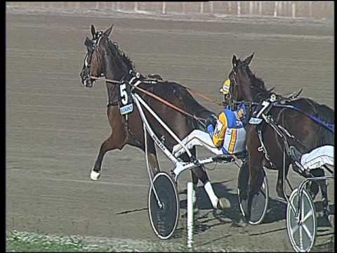 Trotto 23/10/2016 - 4ª corsa