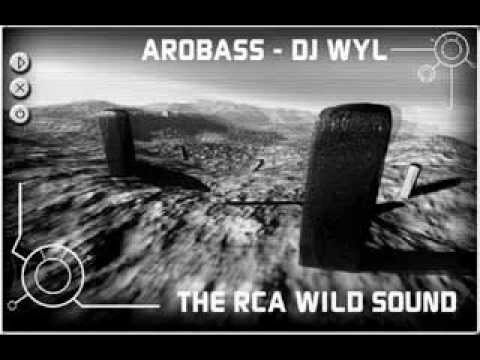 Arobass Dj Wyl - The RCA Wild Sound - Face B