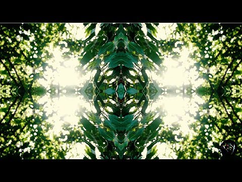 MDMax - Growing Delightly (Global Bass Music)