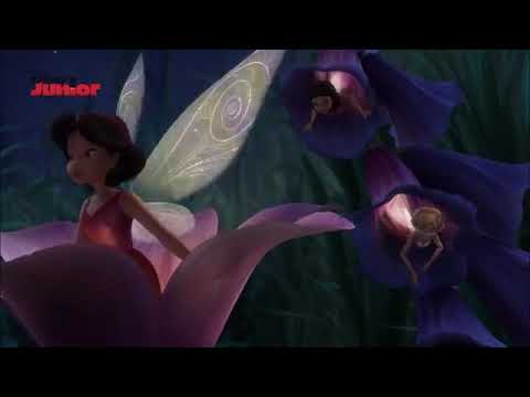 Birth of tinkerbell...U r in the world of wonders.. | Video & Photo Birth of tinkerbell...U r in the world of wonders.. | Video & Photo