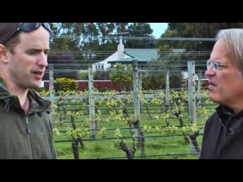 JAMESSUCKLING.COM - New Zealand - The Wines of Martinborough