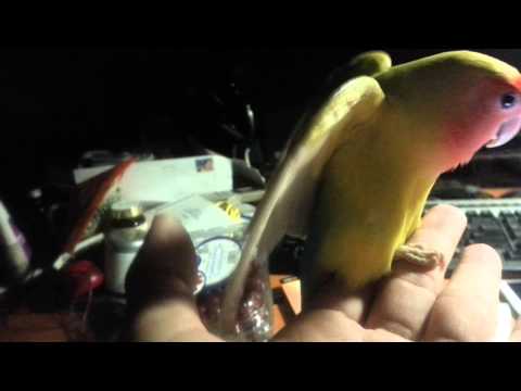 2014 01 17 23 21 08 Horny Sunshine