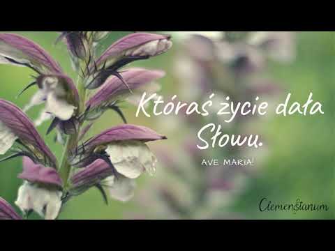 Clemensianum - Ty, co nie zwątpiłaś