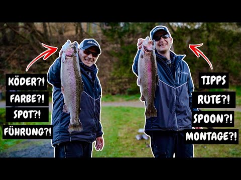 UNGLAUBLICH! 😱 Jeder Wurf ein Treffer – Forellen ohne Ende!