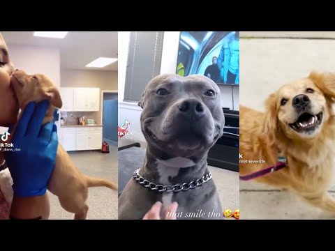 Happy Happy Guy Happy Dog | TikTok Trend