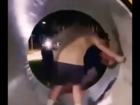 The Lion Sleeps Tonight meme #193