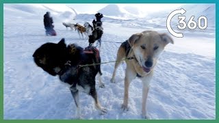 Epic 360° Husky Sledding In Svalbard! - Earth Unplugged