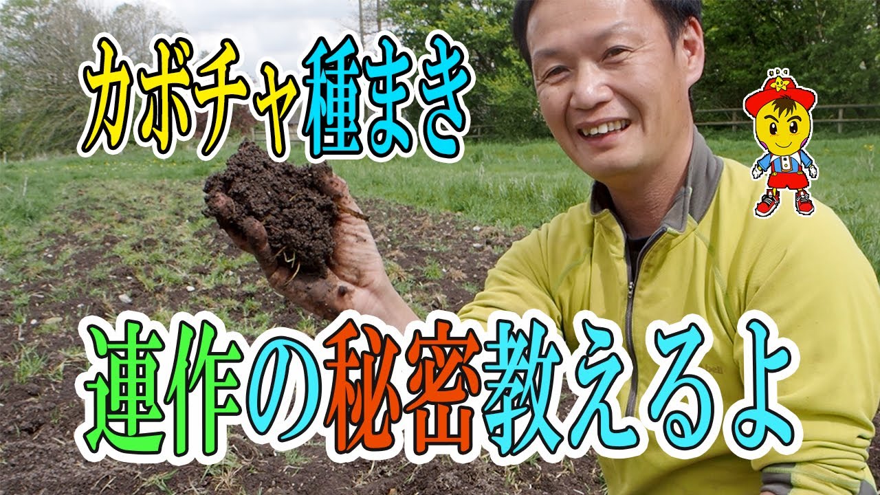 自然栽培で病気知らずの連作術