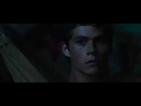 Full Movie (Maze Runner)