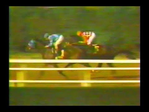 1987 Jockey Club Gold Cup
